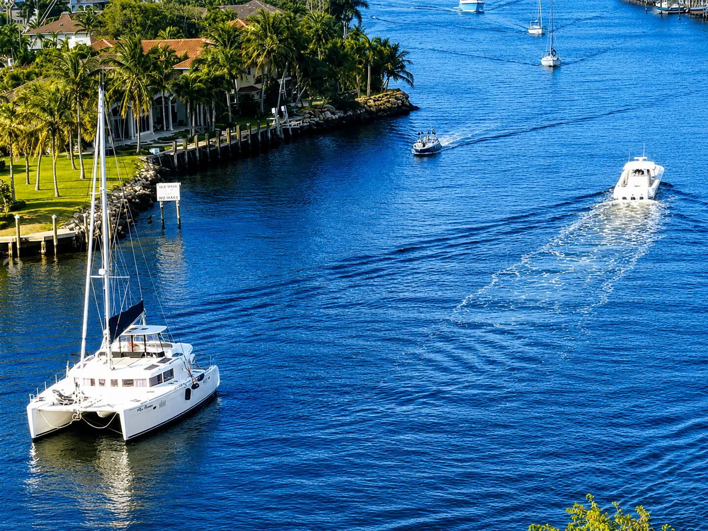 boats