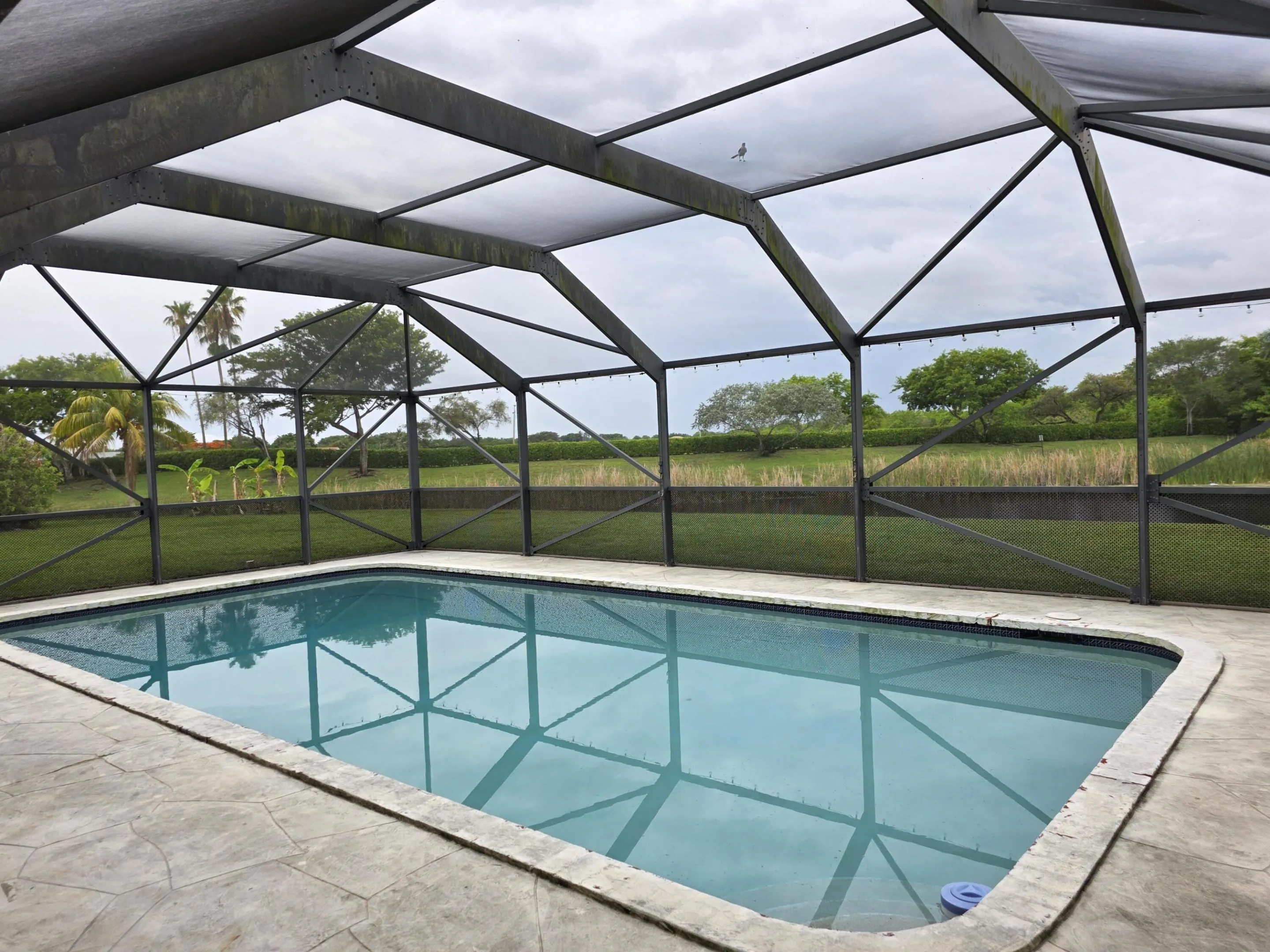 Pool & View