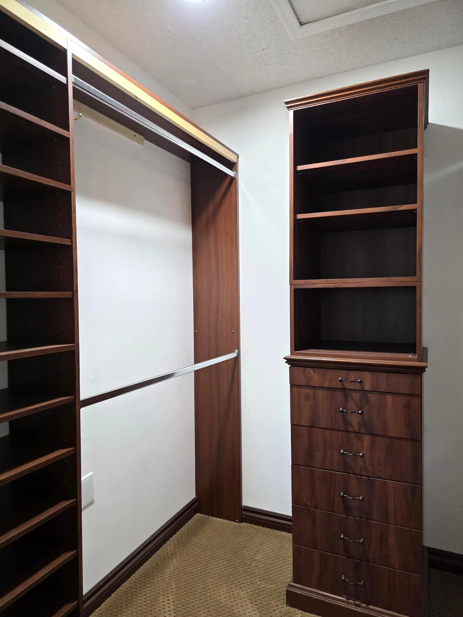 1st MBR Walk-In Closet