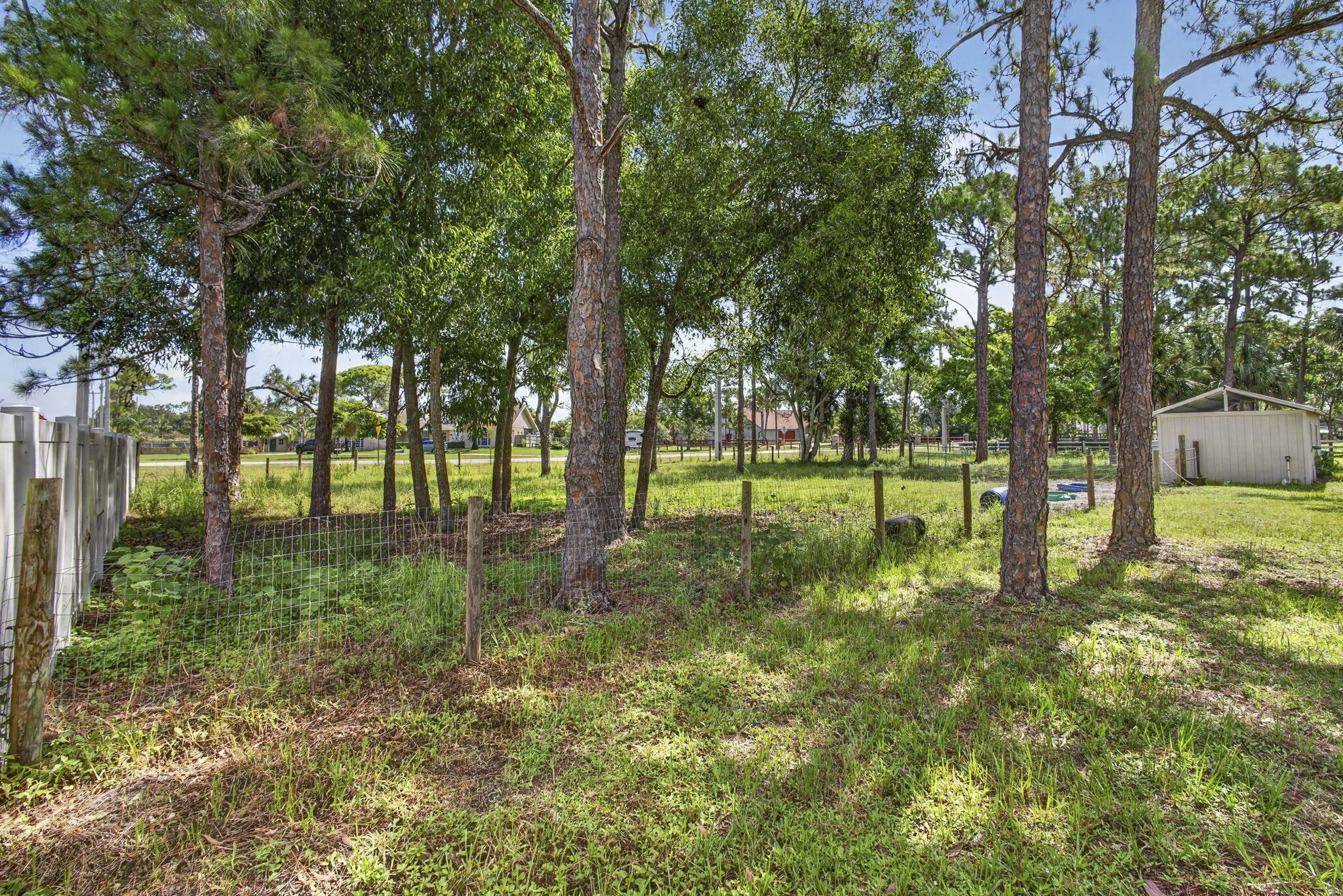 58-web-or-mls-BS1A6074