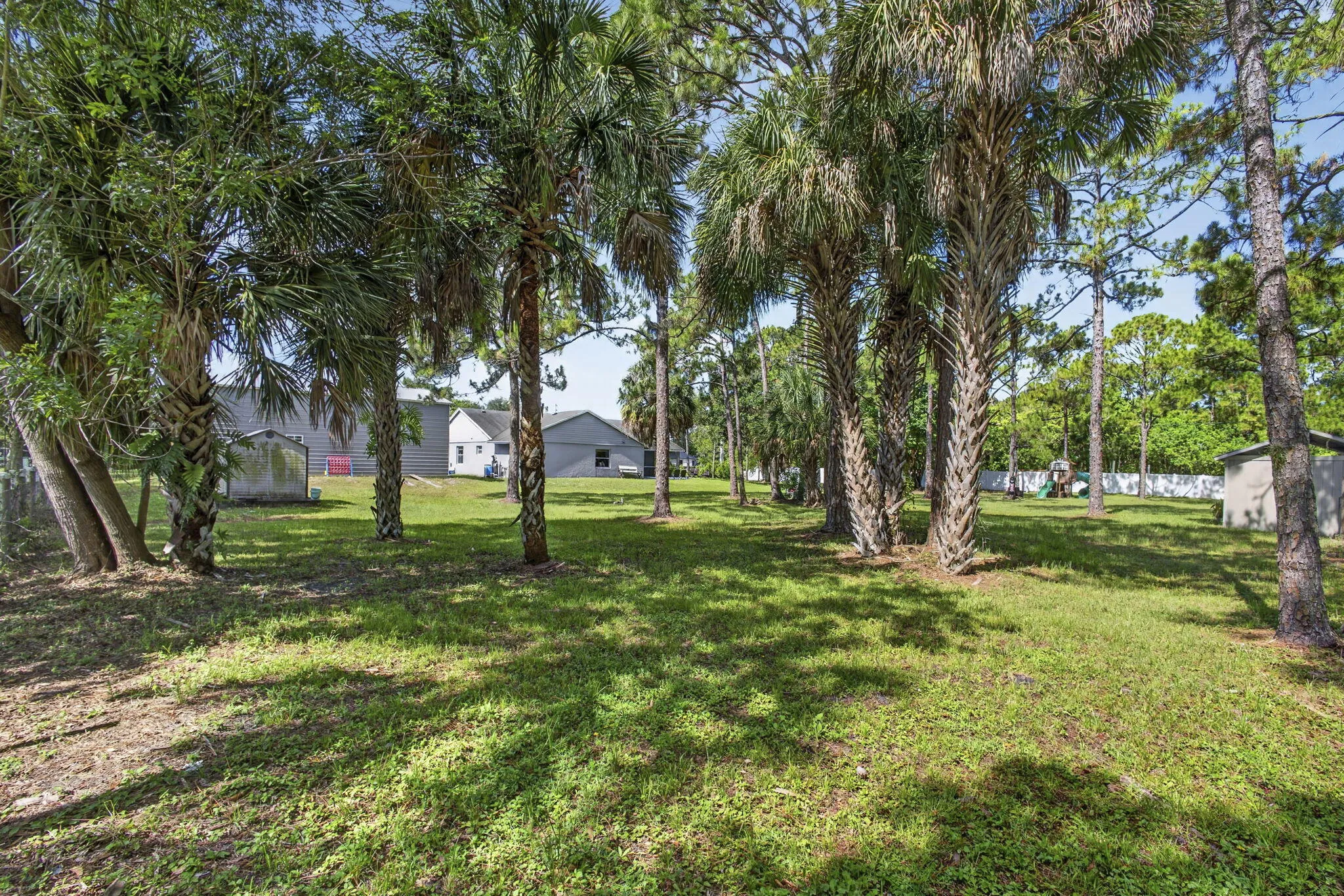 63-web-or-mls-BS1A6101