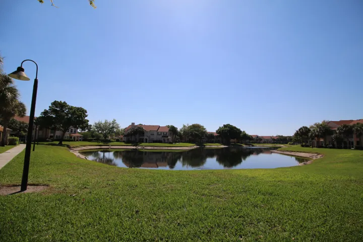 Pond