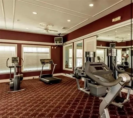 fitness