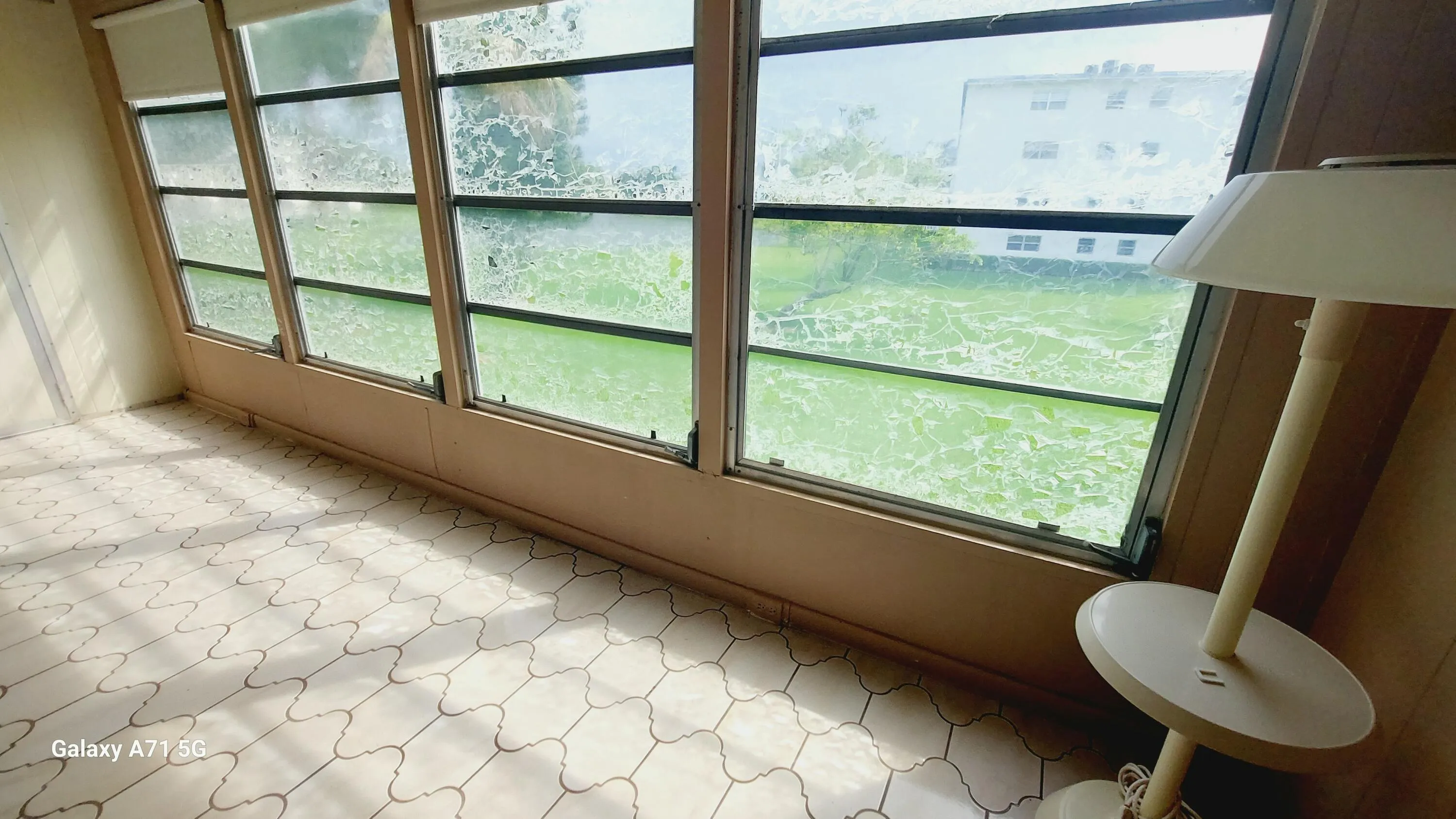 back windows