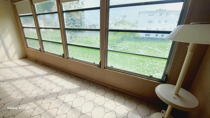 back windows