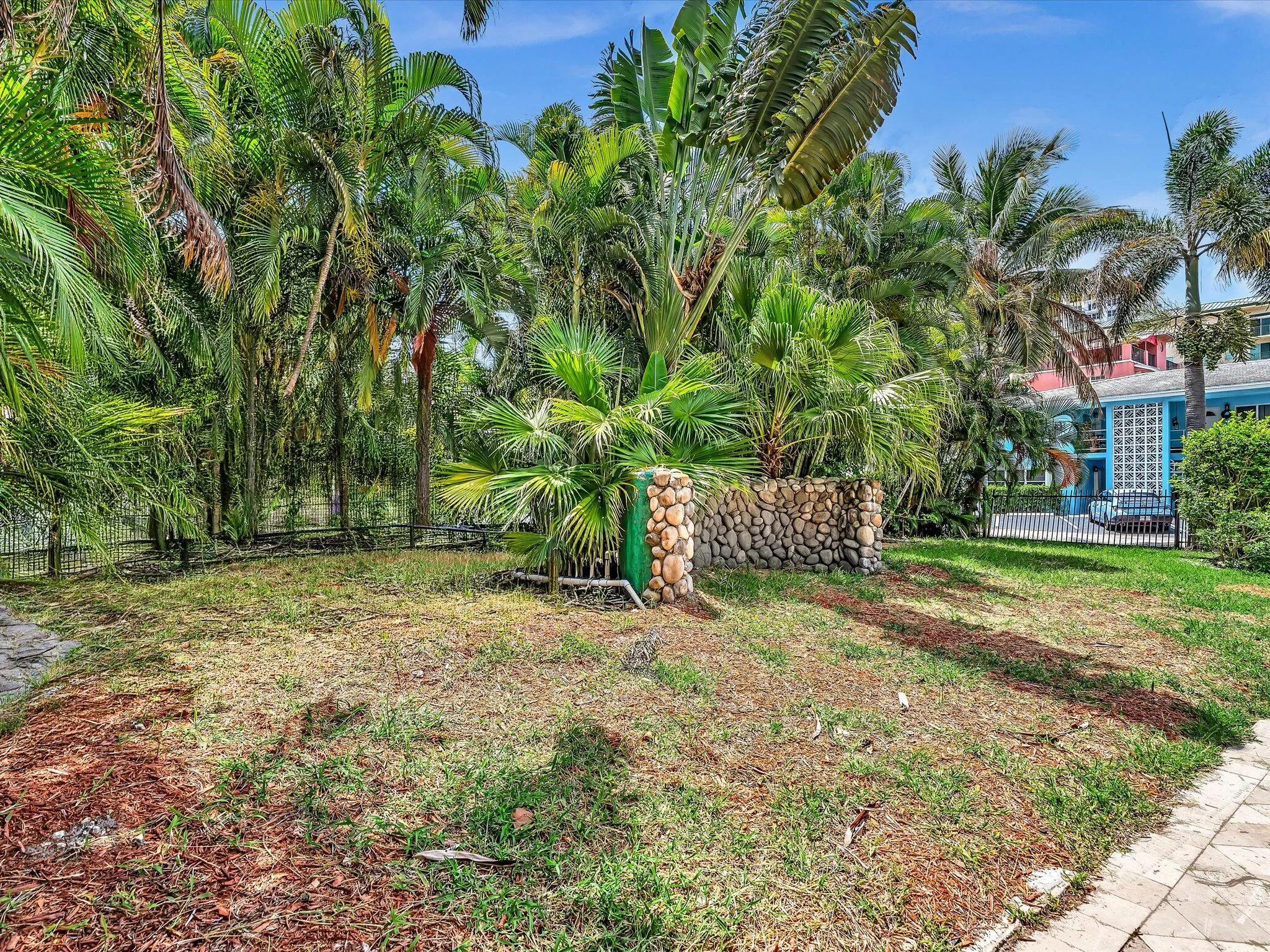Expansive outdoor space featuring a stone wall, varied palm trees, and a black wrought iron fence