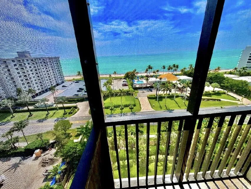 ACTUAL VIEW