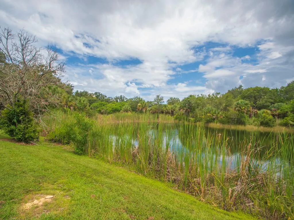 Property photo 77