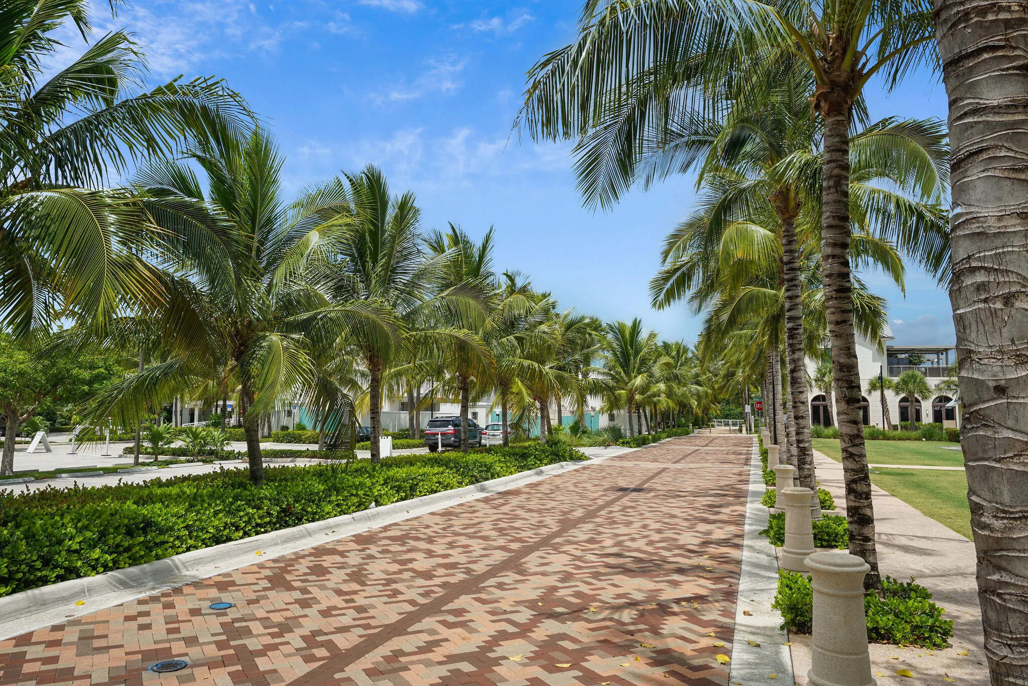 AroundTown-Jupiter-LoveStreet(1)