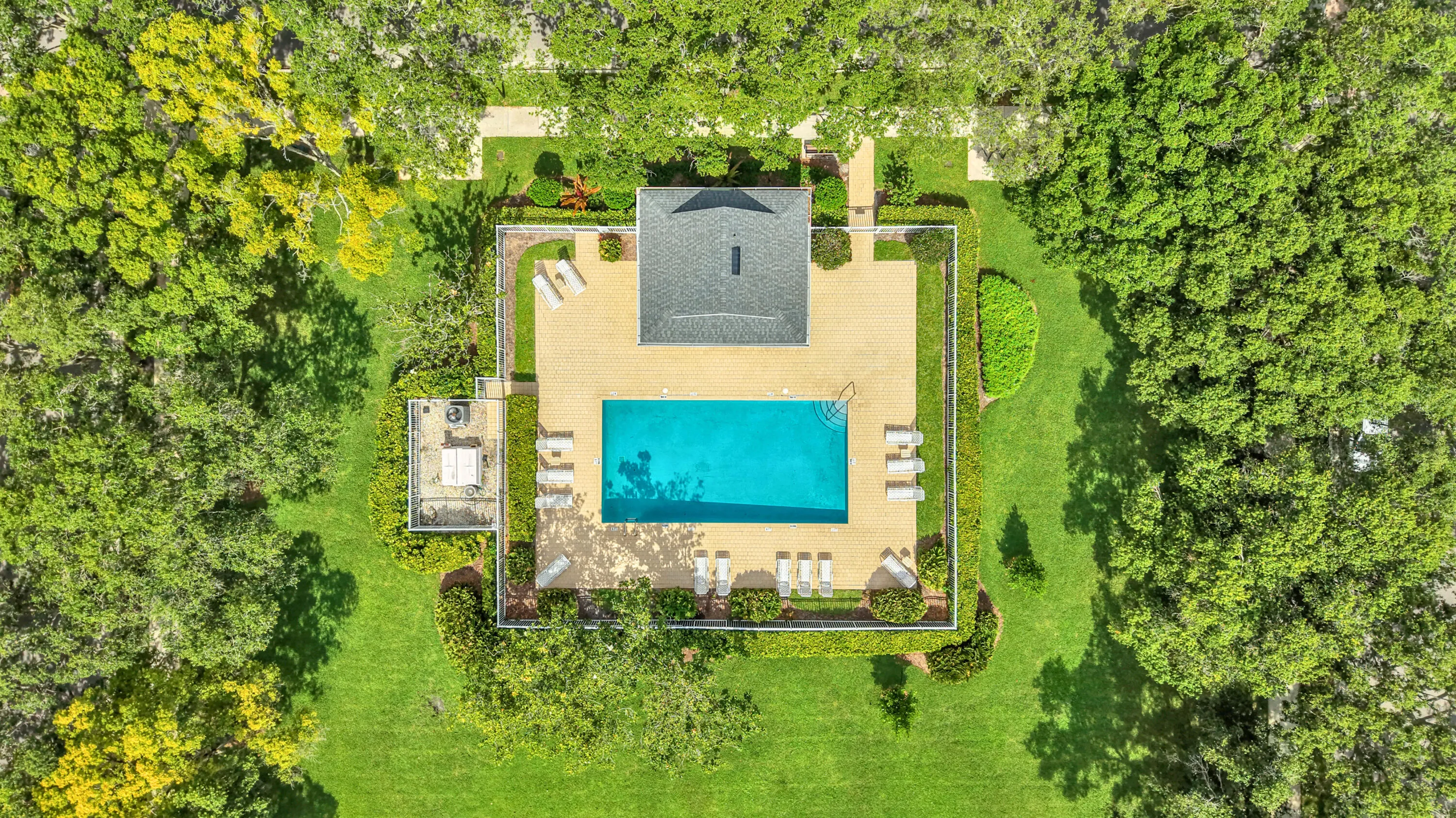 New Haven Pool