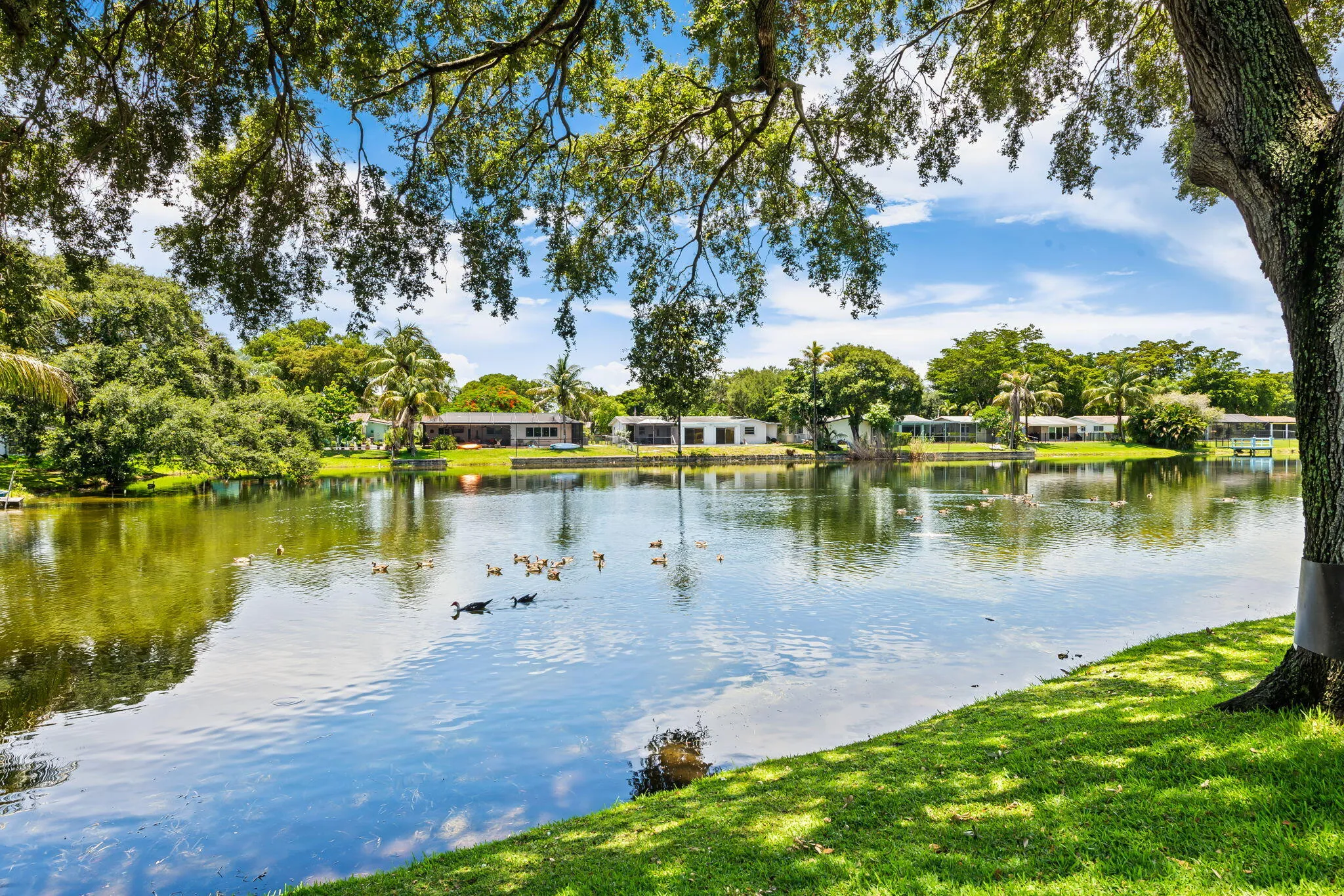 Lake View