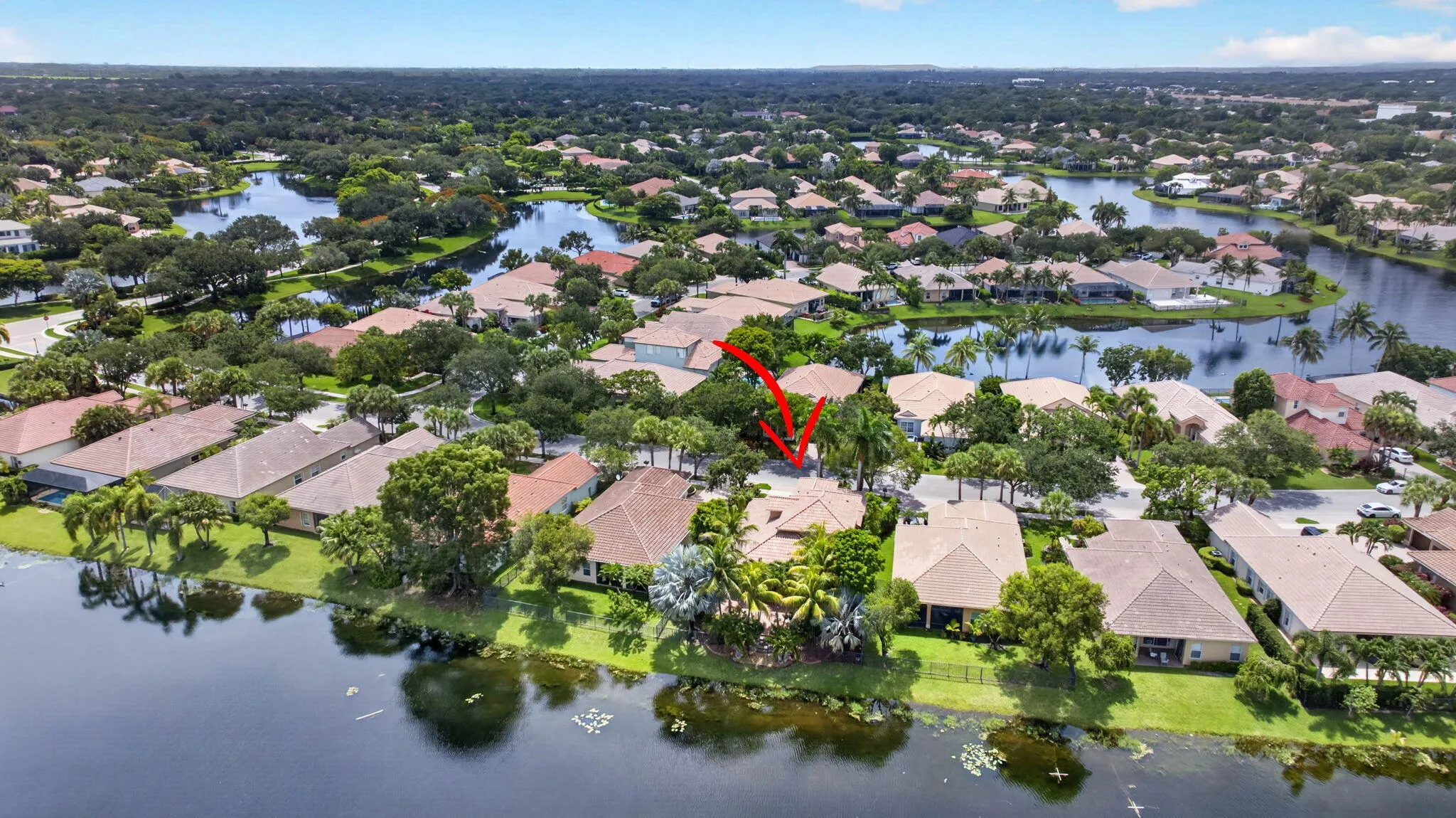 58-web-or-mls-6443--10