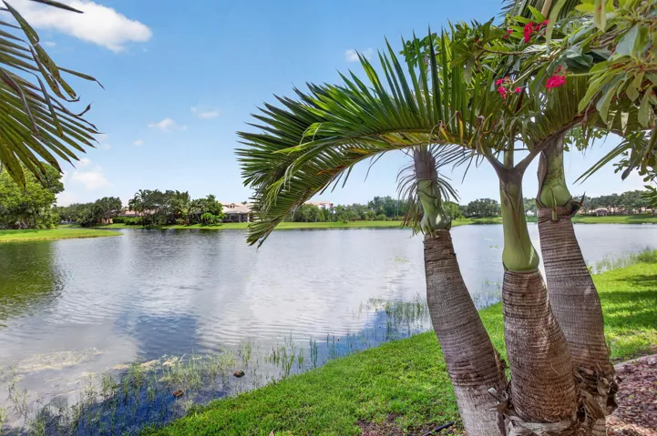 10-web-or-mls-6443-6637