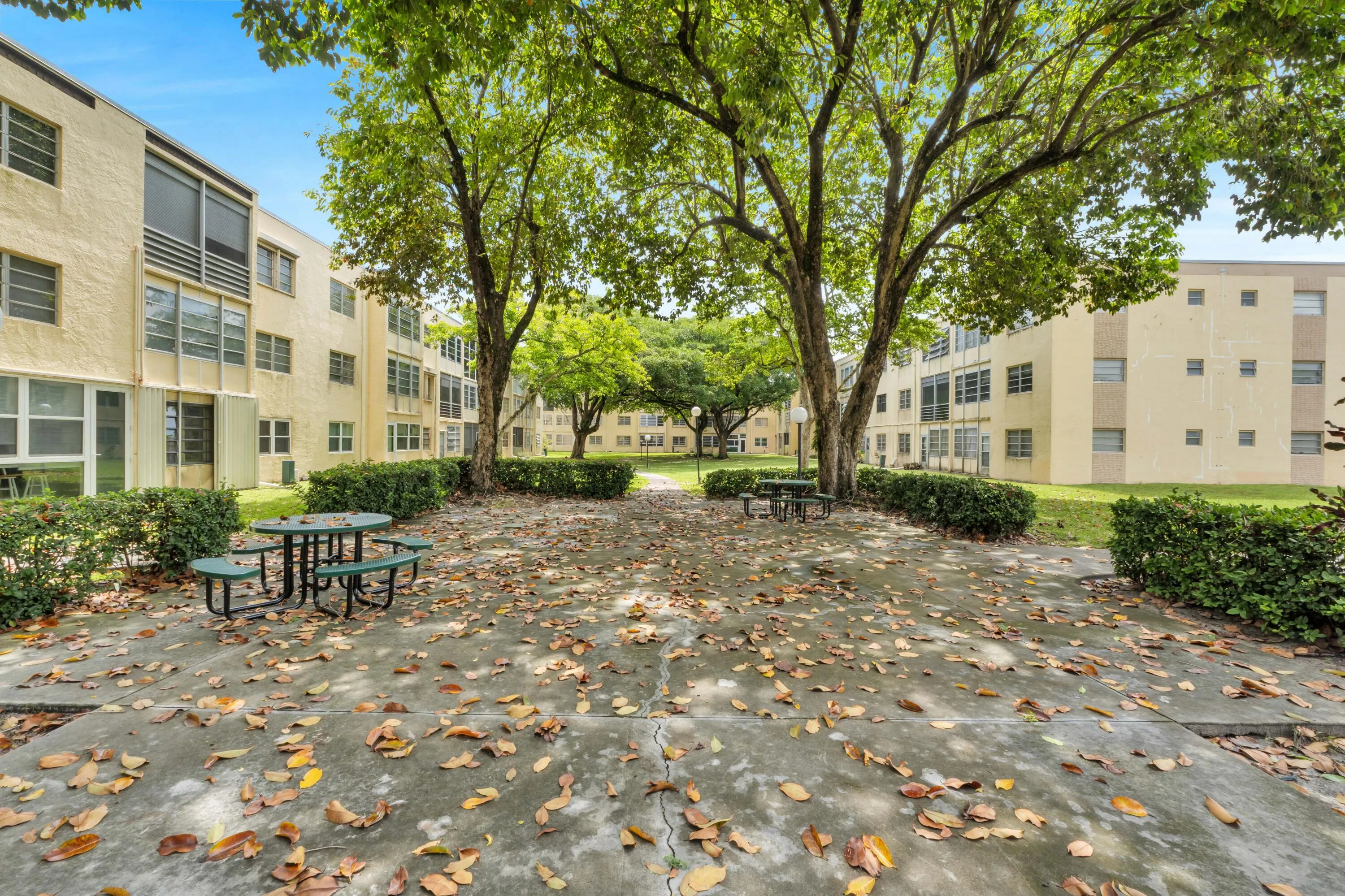Central courtyard area featuring a concrete patio surface and mature trees providing natural shade.