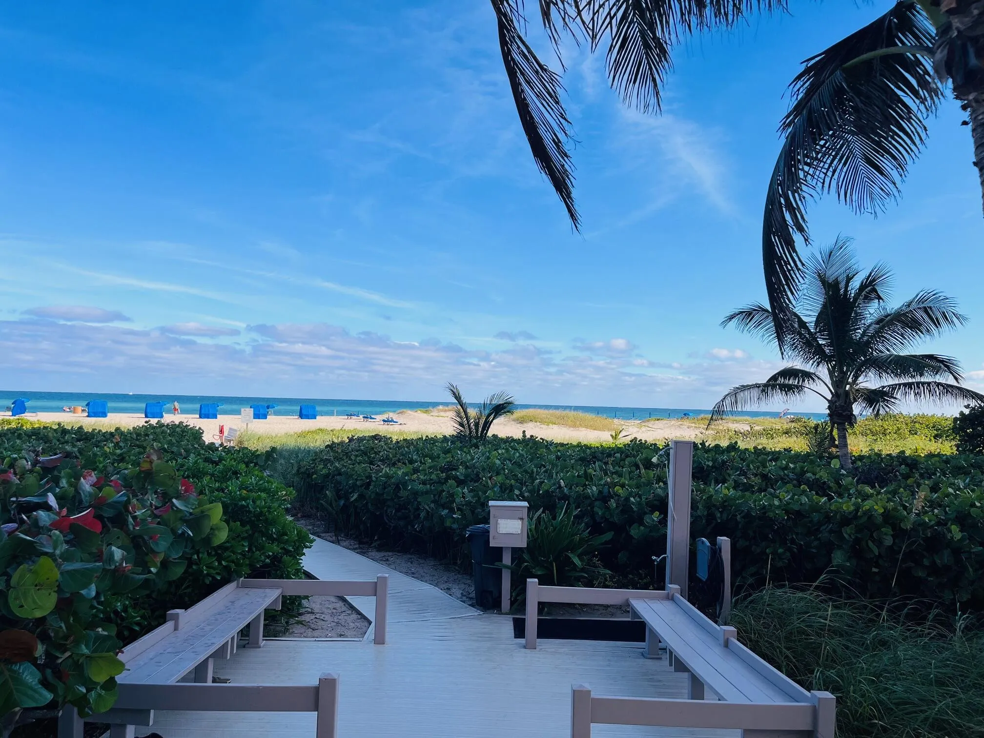 Beach View