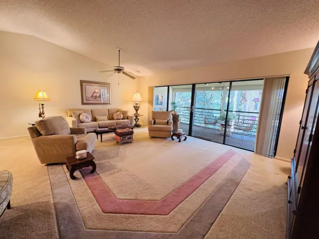 IMG_2498