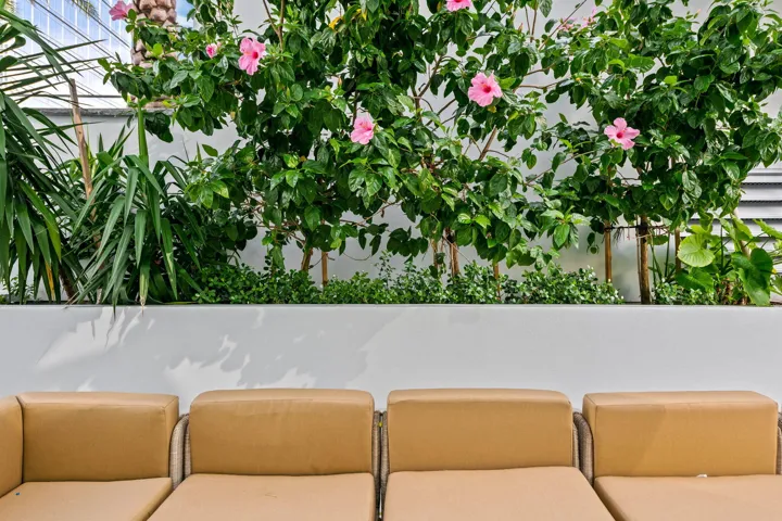 Integrated planter with diverse foliage, featuring vibrant pink flowering plants and broad-leaf greenery