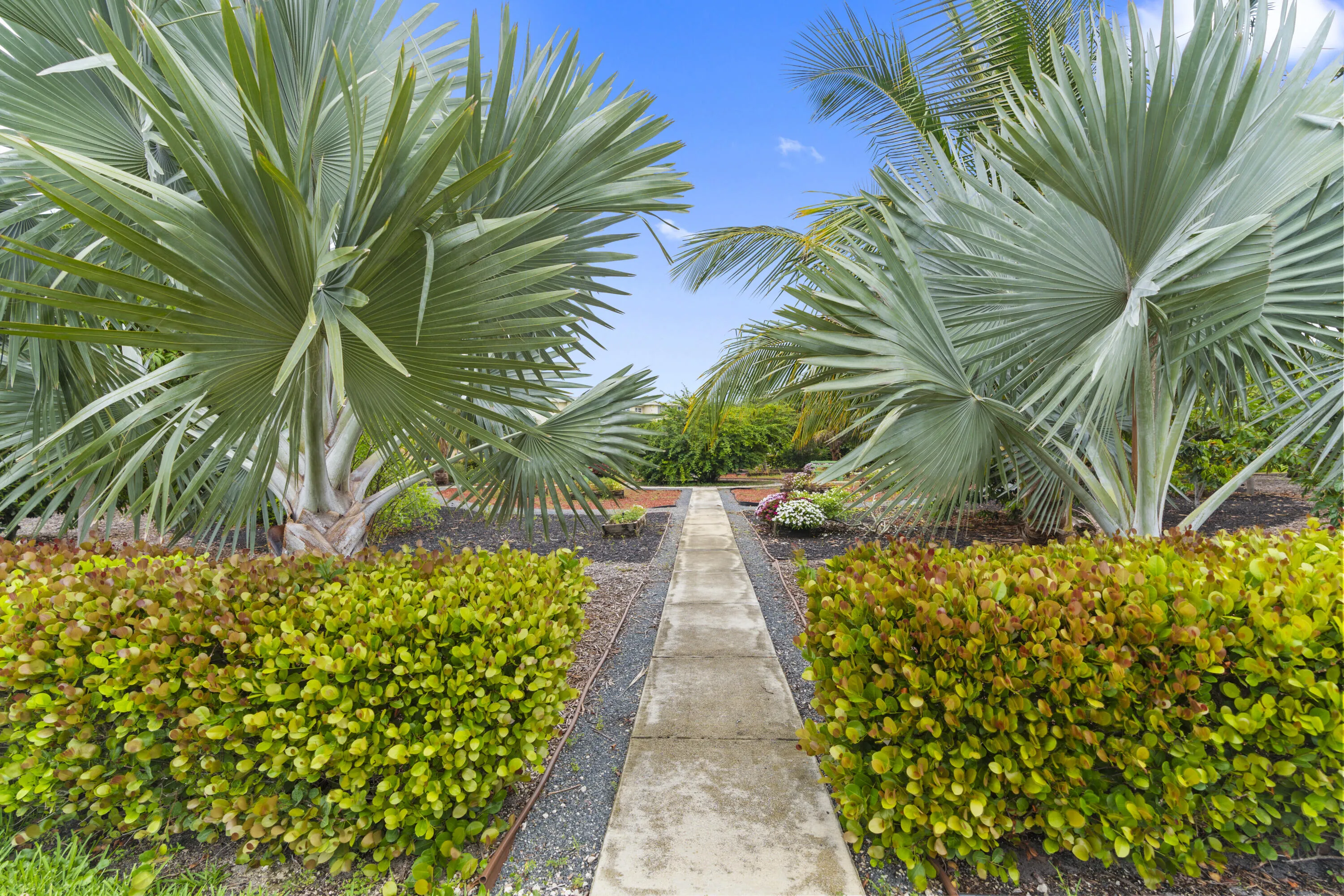 Walking Path