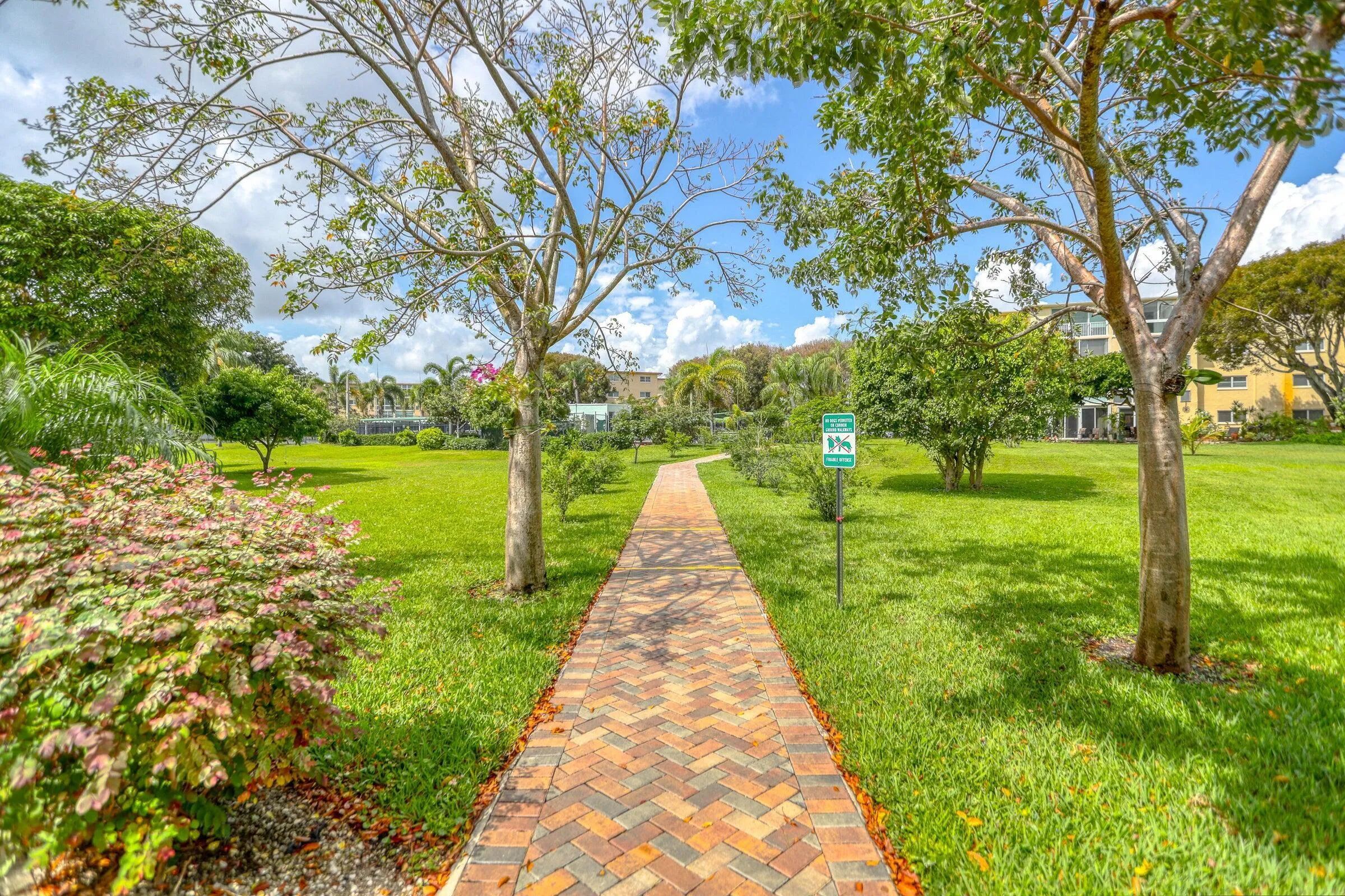 Walking Path