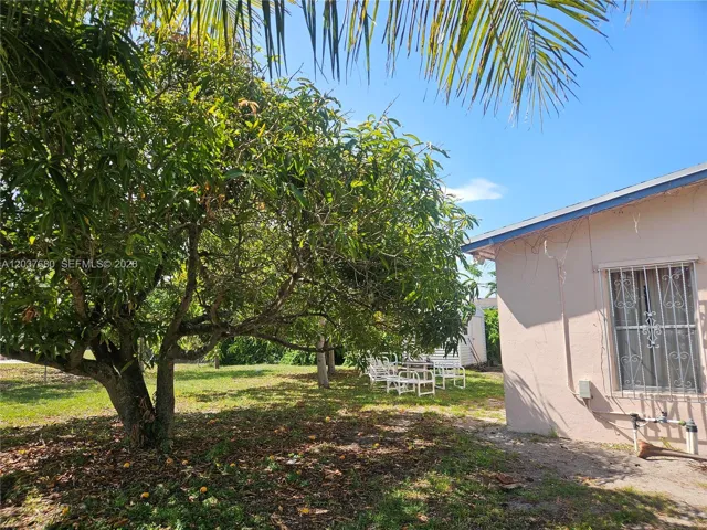 Fully matured fruit trees