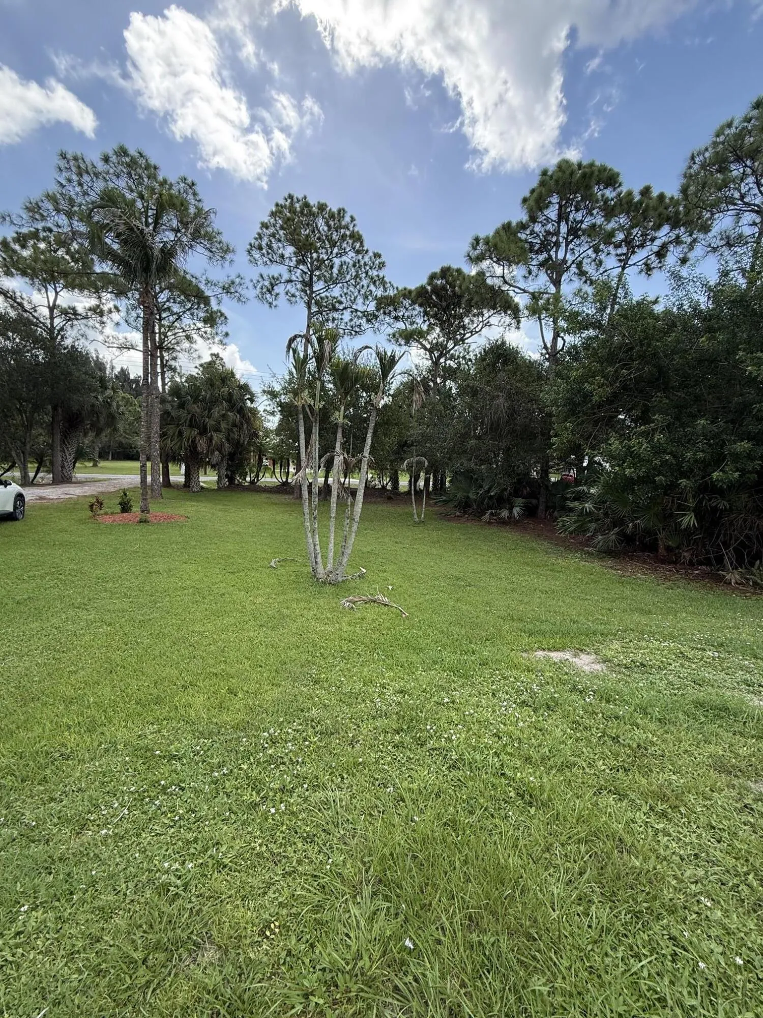 Property photo 31