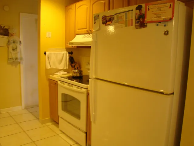 DSC04654