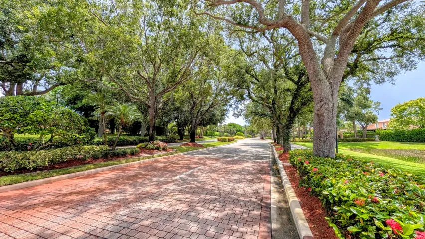 Neighborhood entry drive