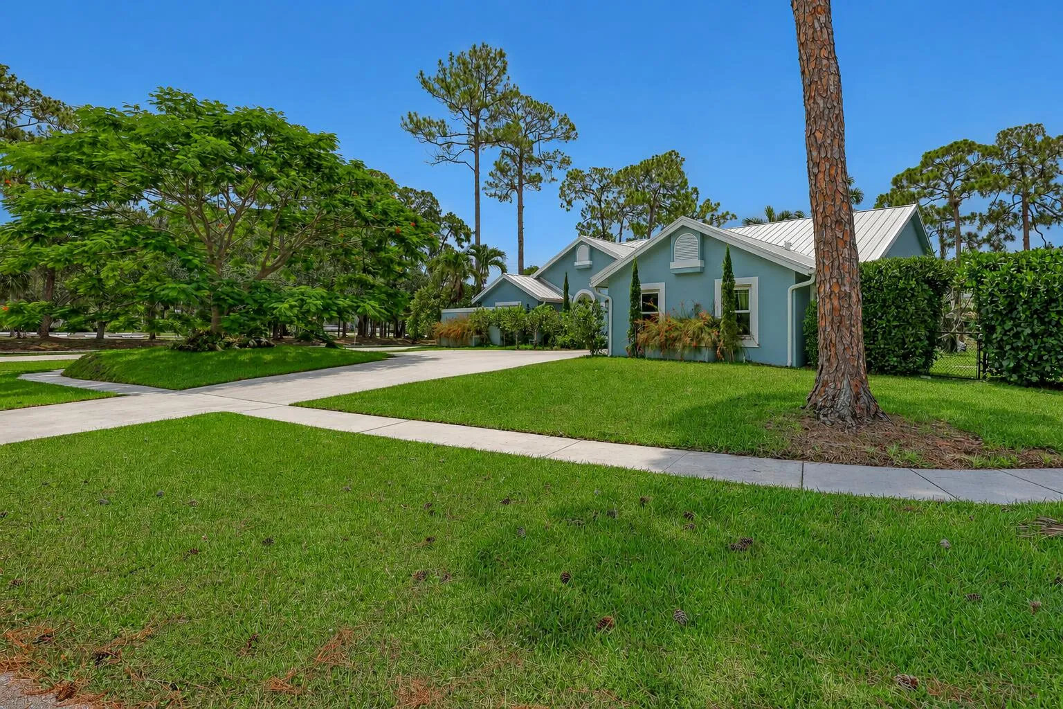 Expansive green lawn with mature trees and a concrete driveway