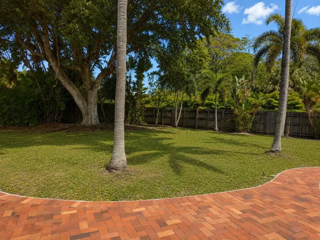 Back yard