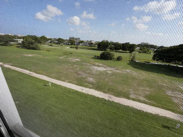 view