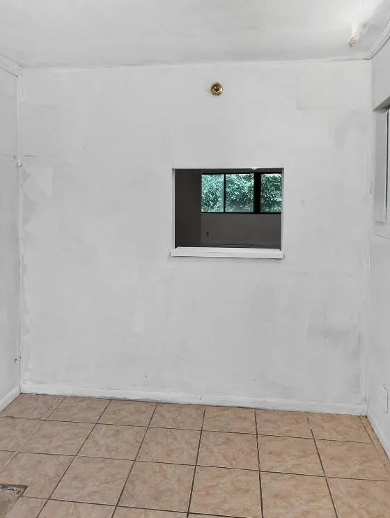 Kitchen Window