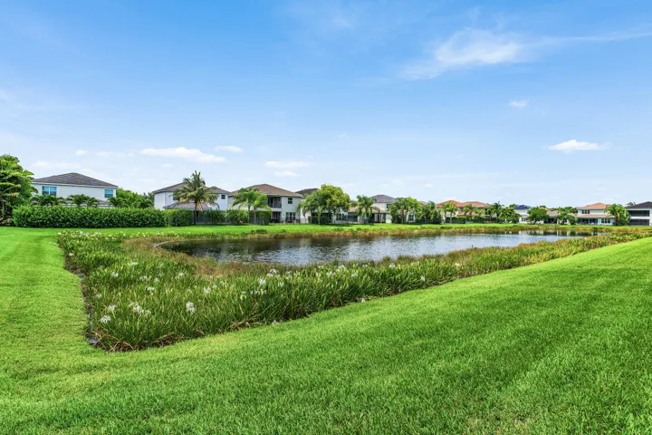 Water view