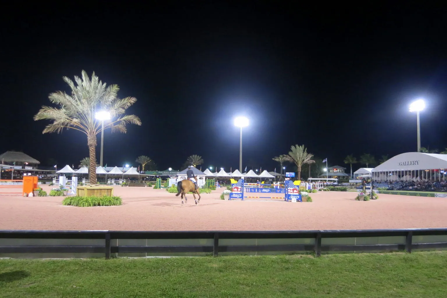 WEF Saturday Night Lights