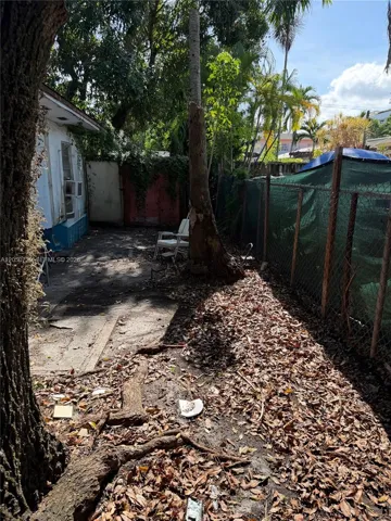 Back yard