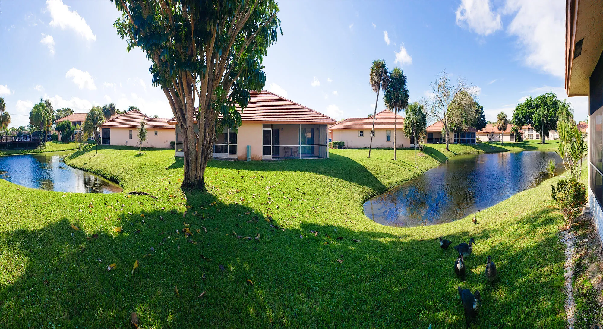 Waterfront properties featuring screened patios and mature landscaping