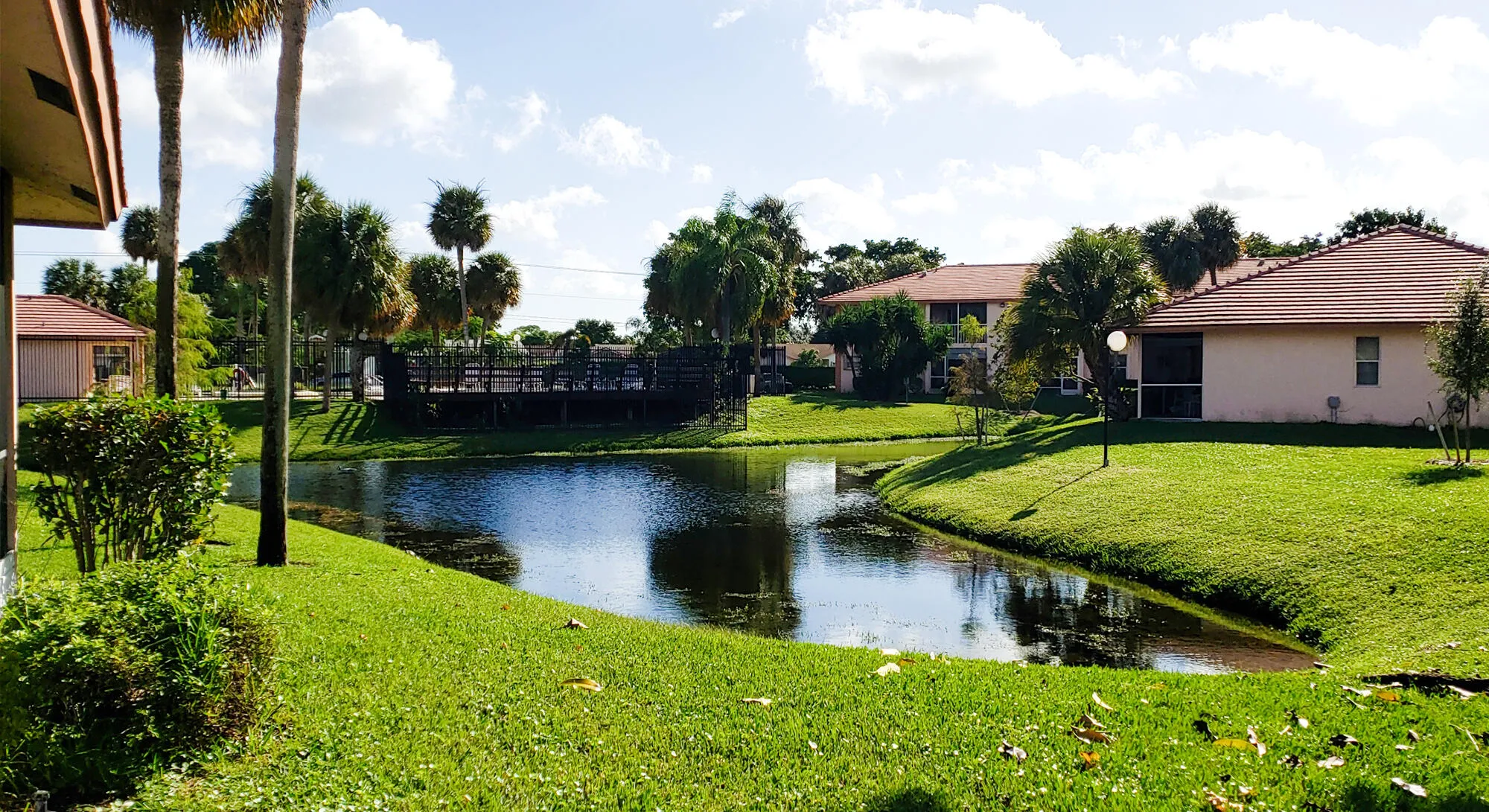 Waterfront property featuring a tranquil pond, expansive green lawn, mature palm trees, and a wooden deck structure