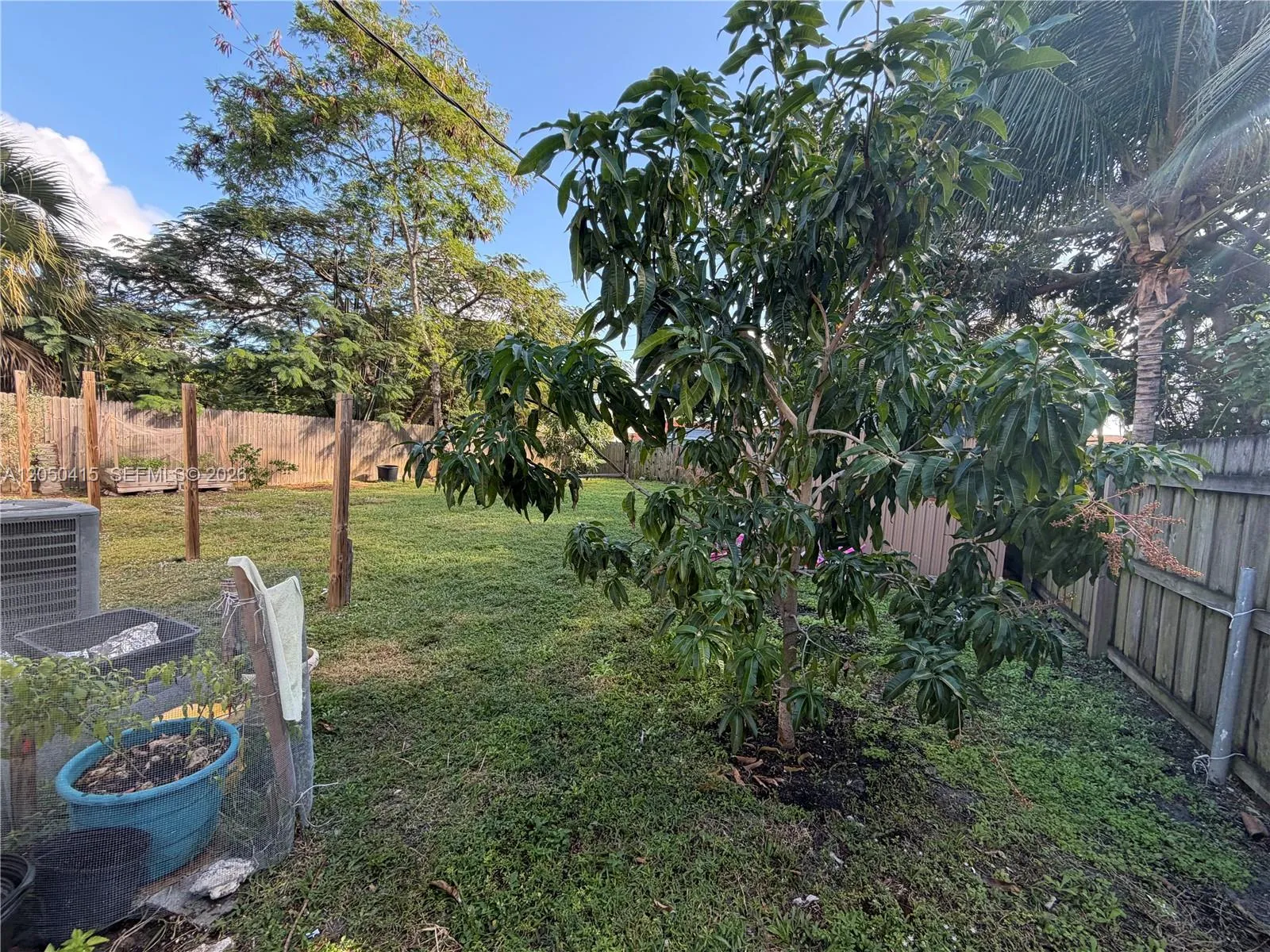 Photo 26