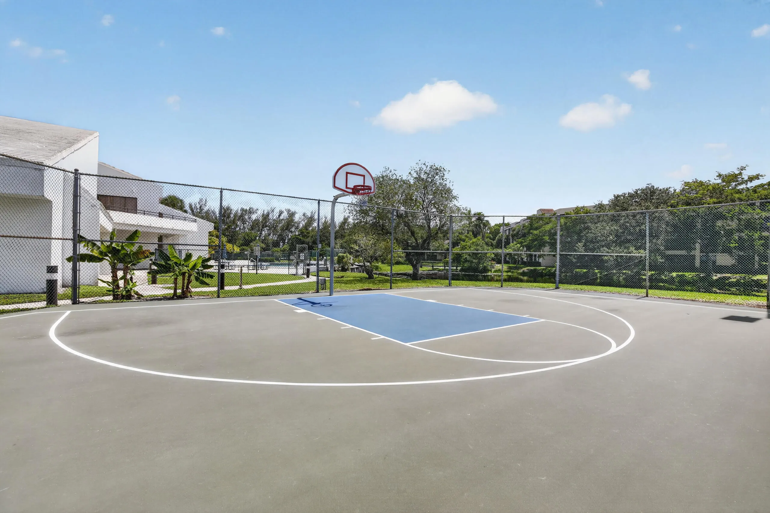 Basketball Court