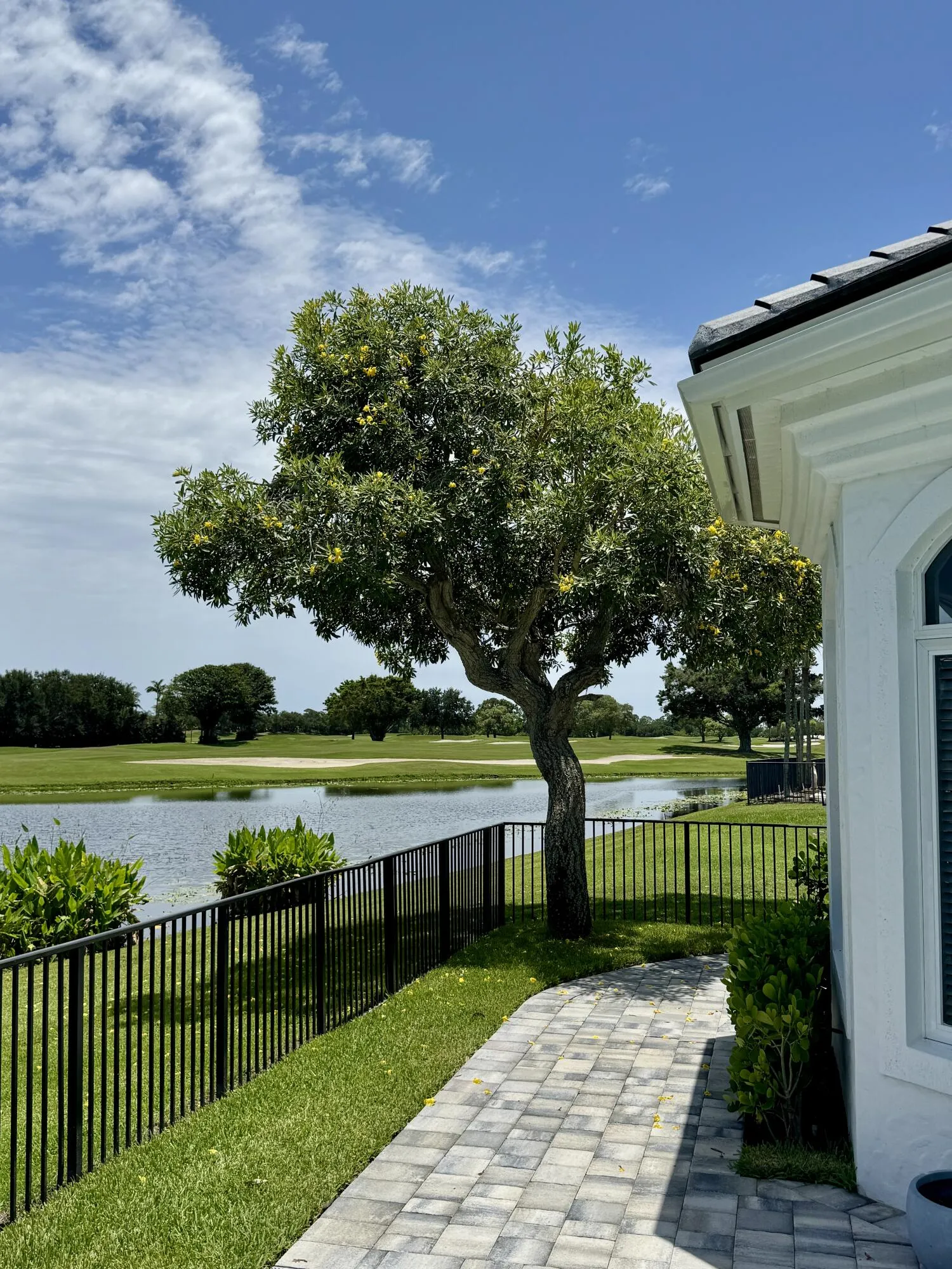Property photo 43
