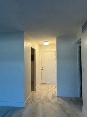 hallway has new: exterior door, accordian pantry door, crystal ceiling light fixture n switch.