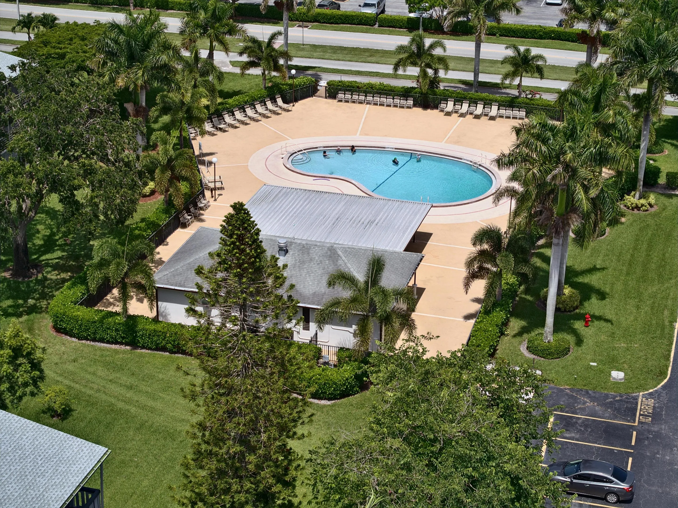 Large pool area featuring a freeform swimming pool, surrounding patio with lounge seating, lush landscaping, and mature palm trees