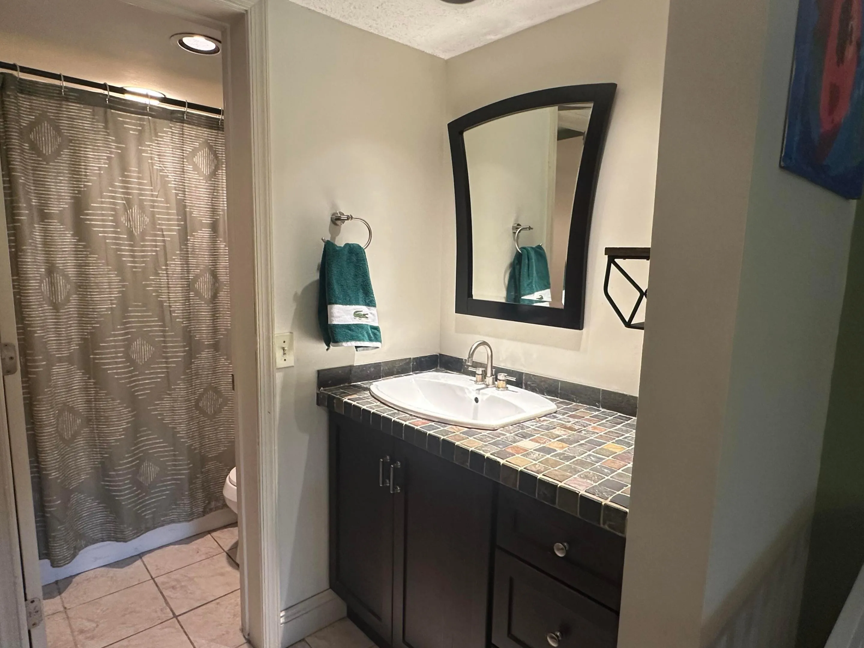 Primary Full bath and Vanity