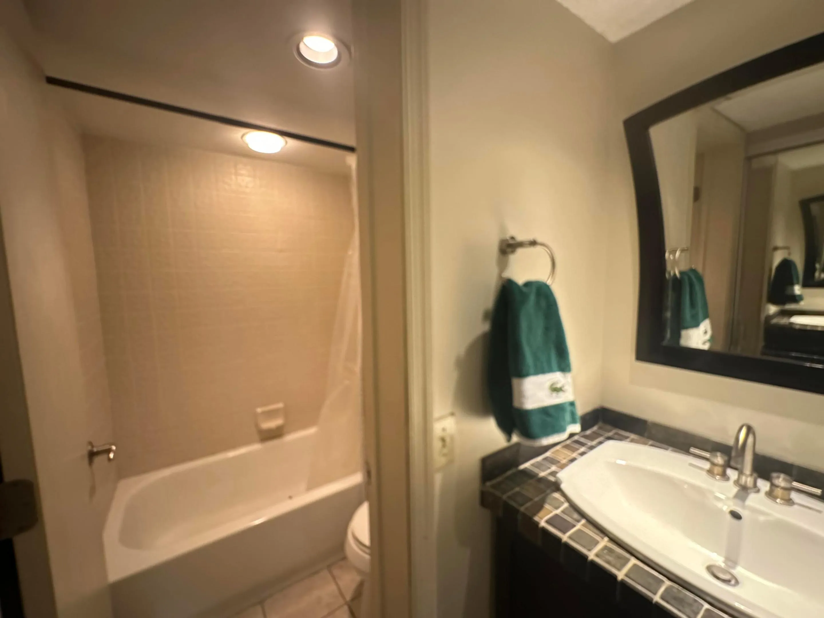 Primary Vanity and Full Bath