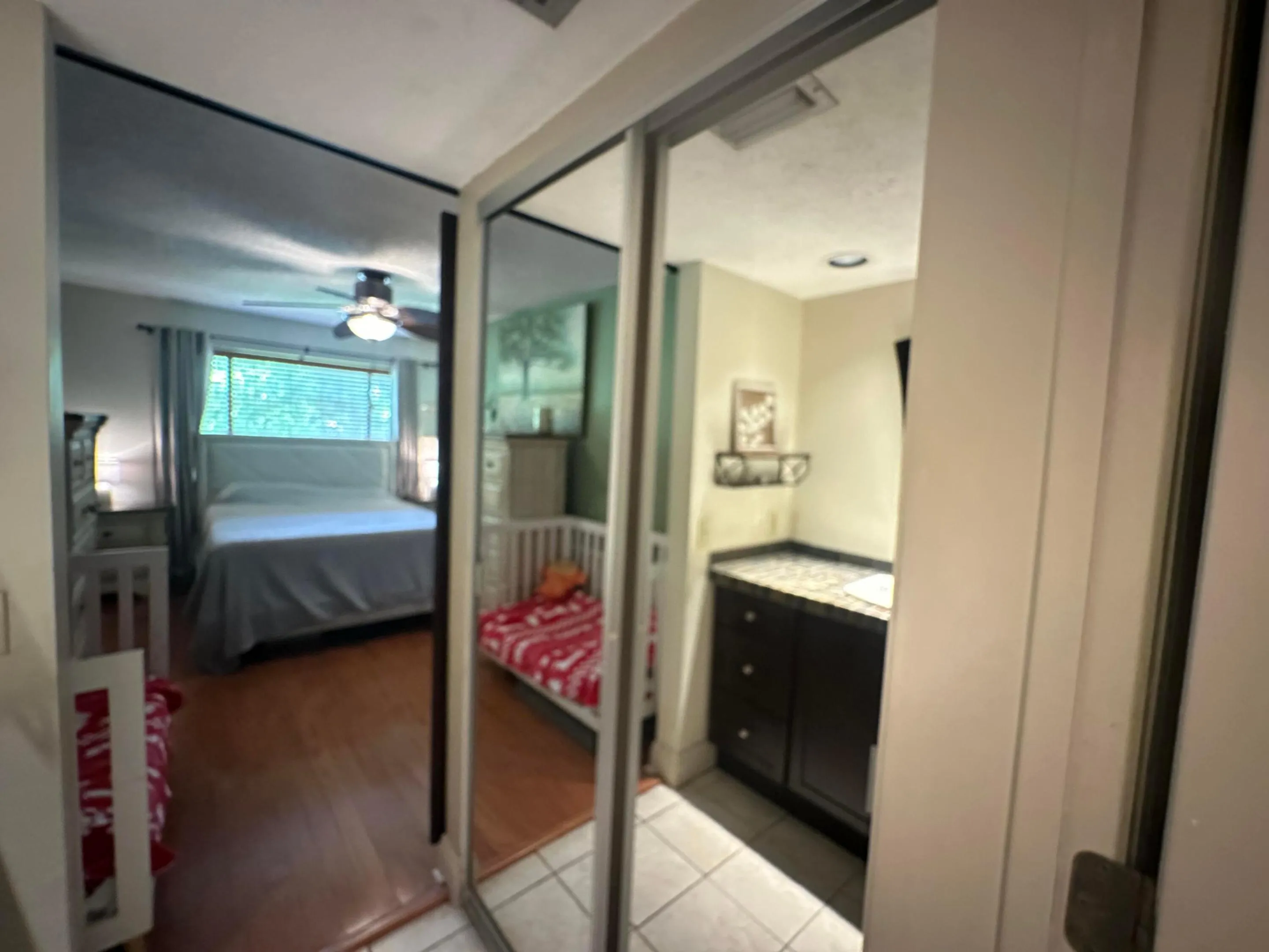 Primary Walk-in closet