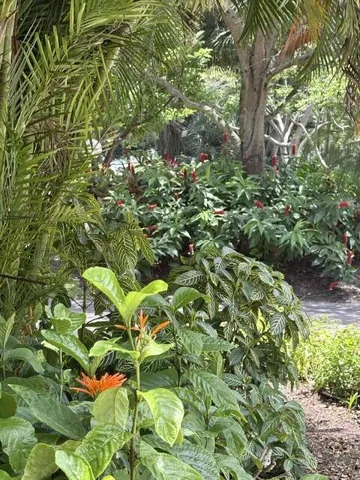 Lush landscaping.