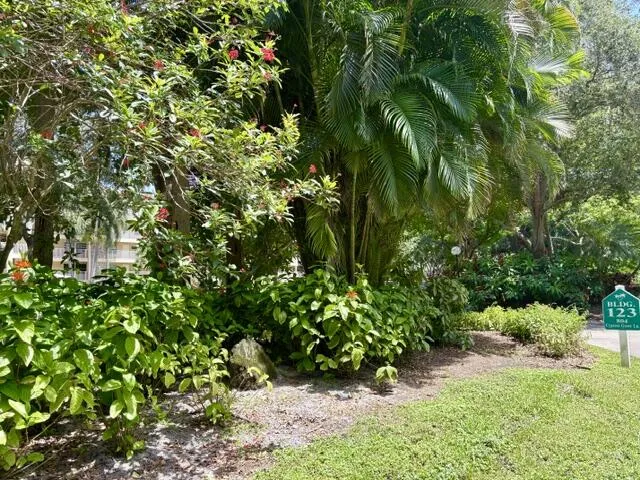 IMG_5866