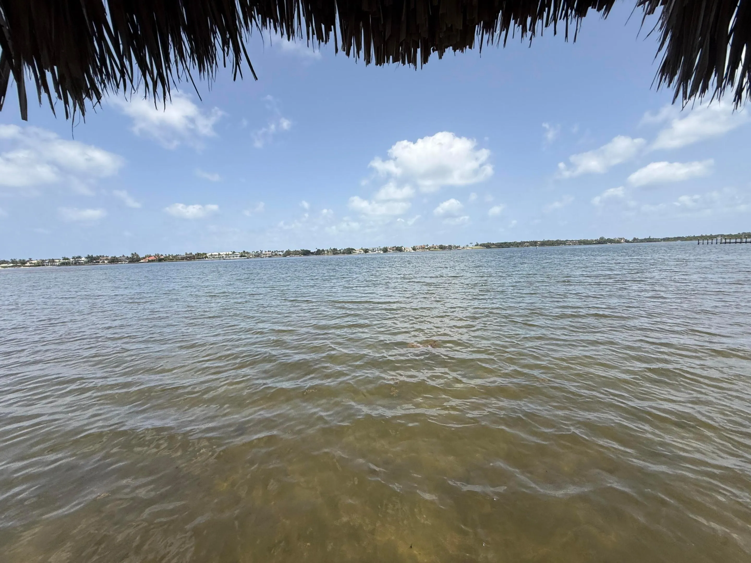 Community Tiki Hut Dock East View