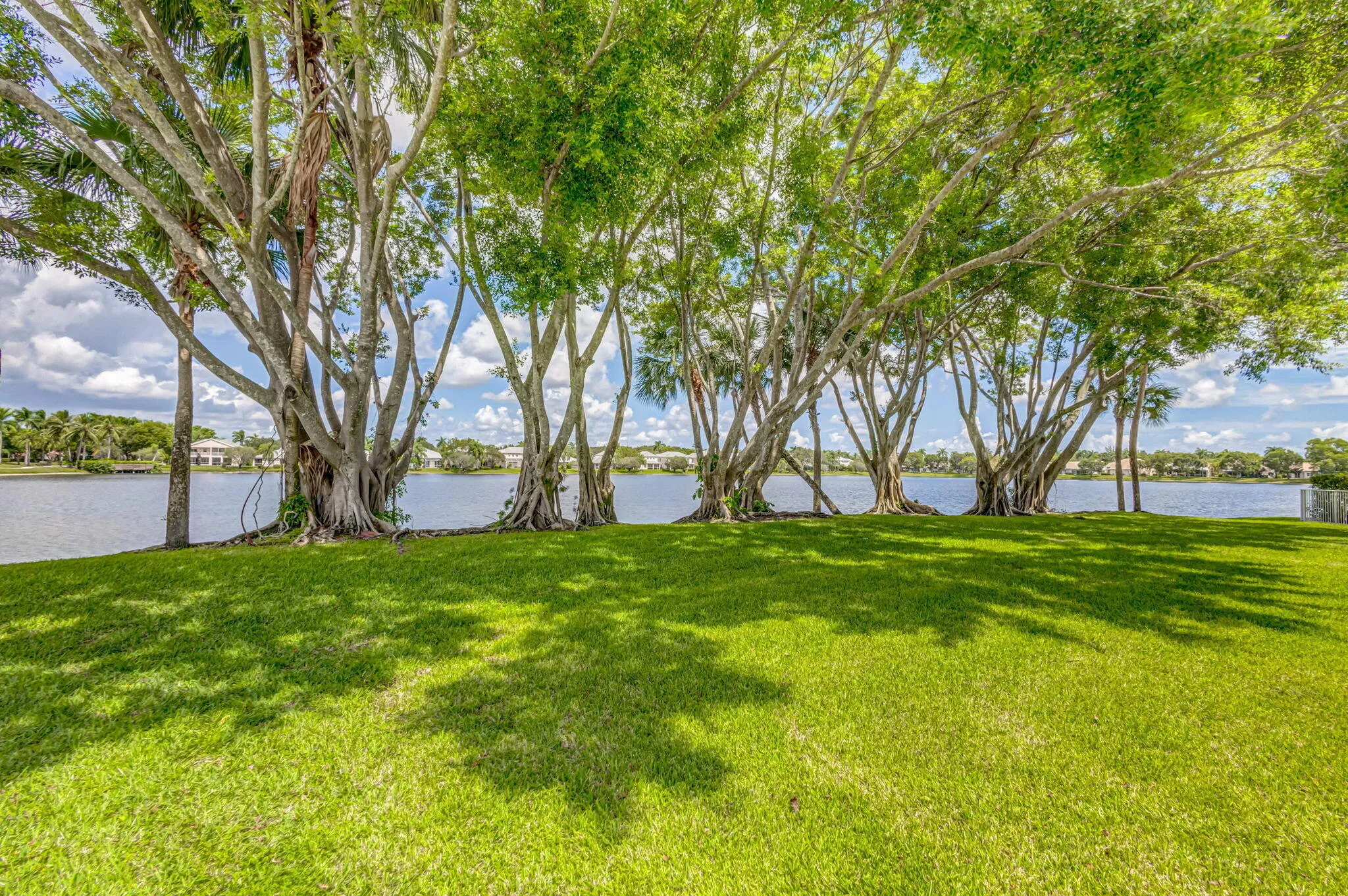 55-web-or-mls-47_5d1a7187