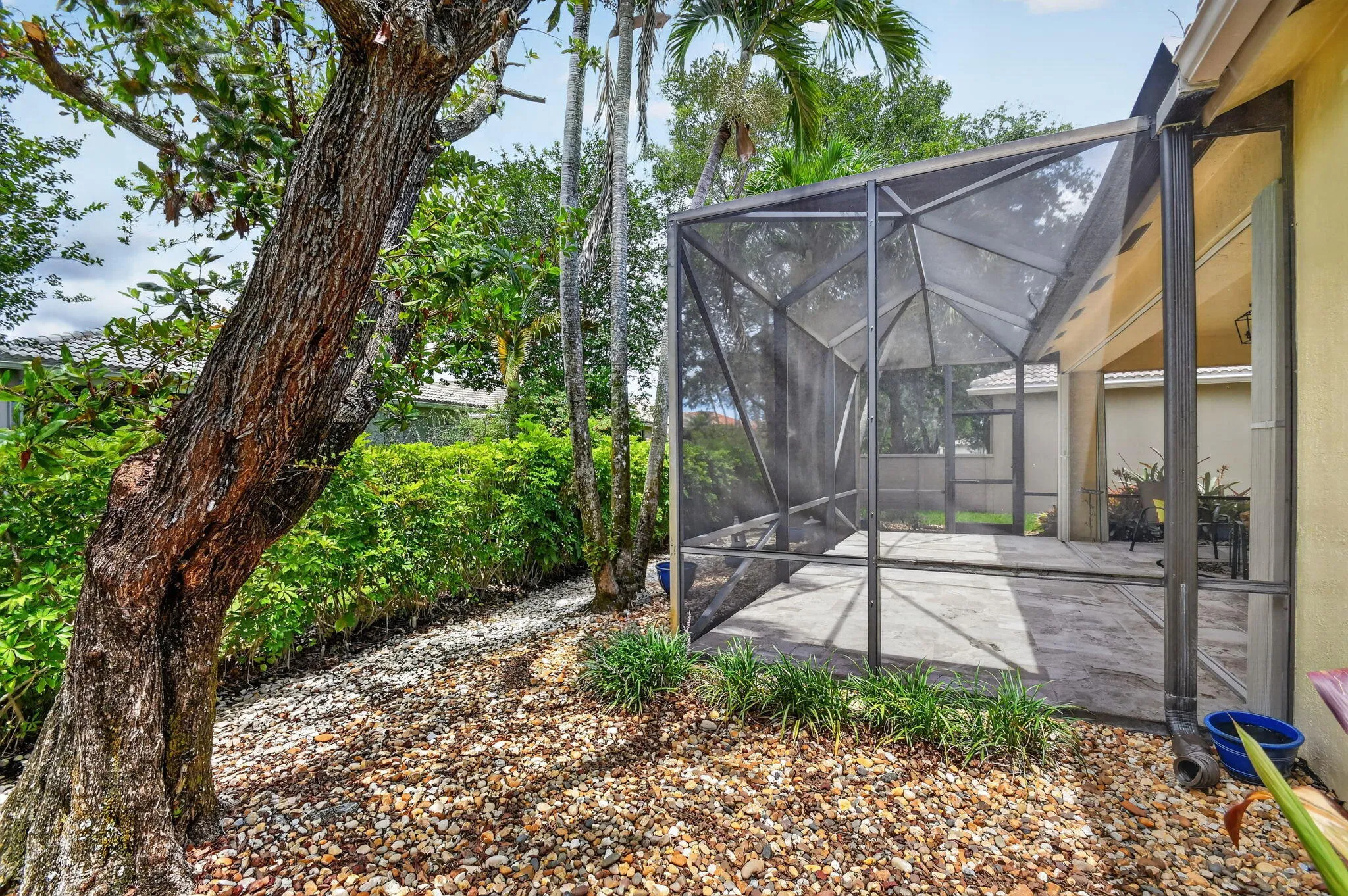 66-web-or-mls-DSC_7197