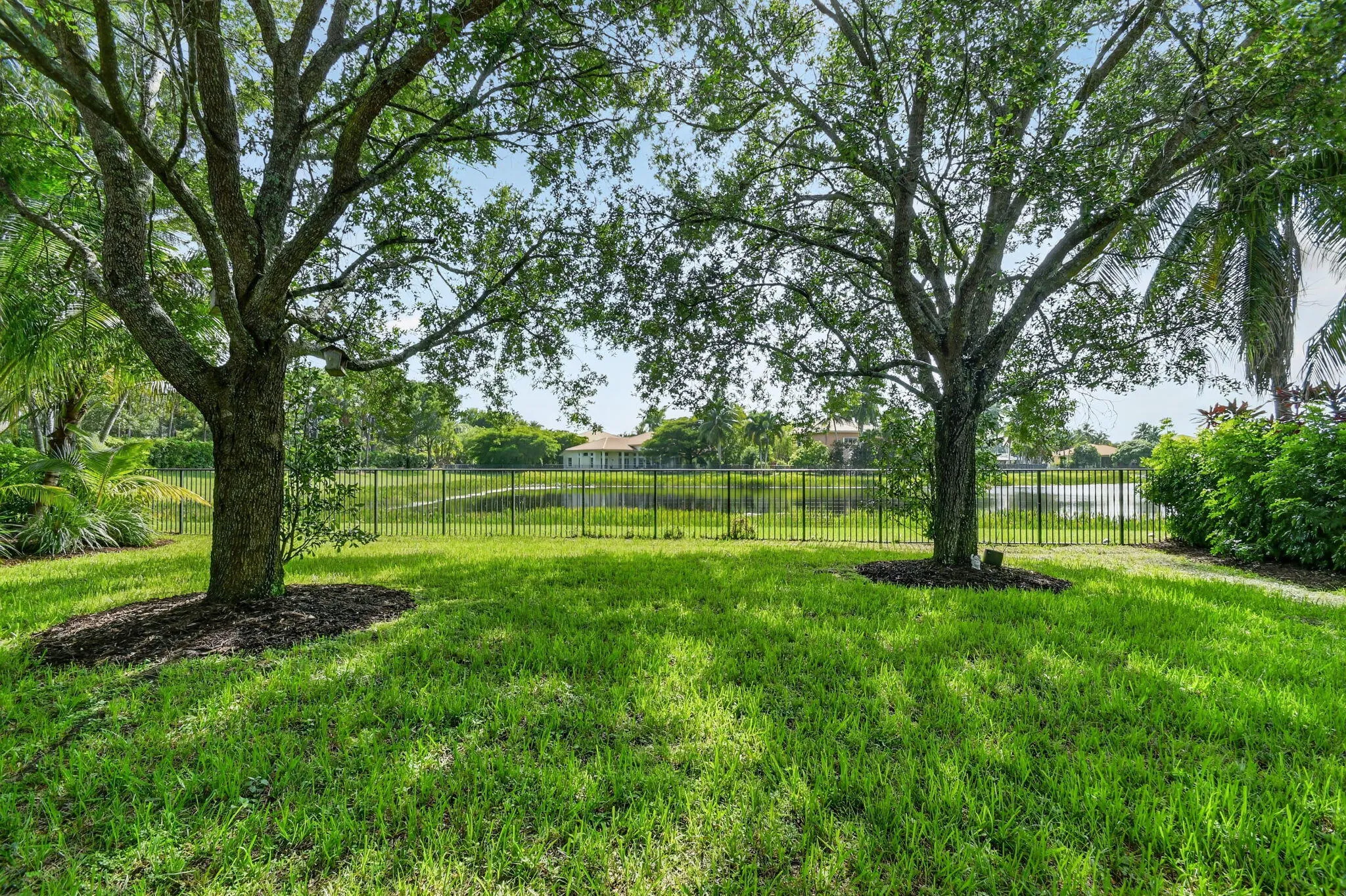 Backyard with Lake View